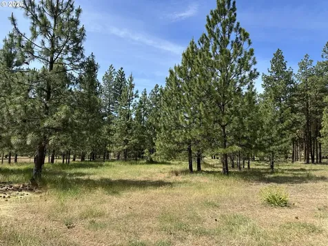 455 Old Mountain Road Goldendale WA 98620
