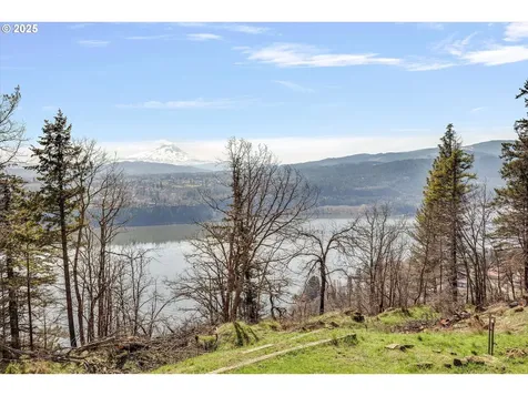 262 Hood Road Underwood WA 98651