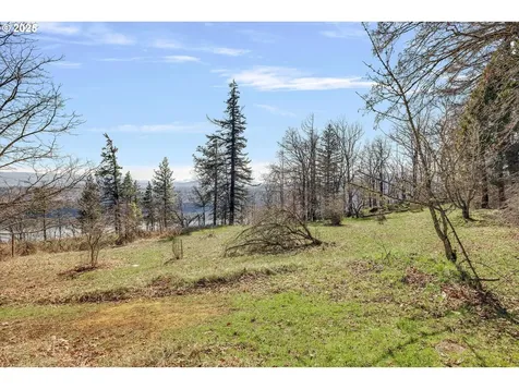 262 Hood Road Underwood WA 98651