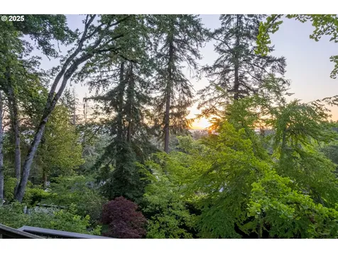 3235 Fillmore Street Eugene OR 97405
