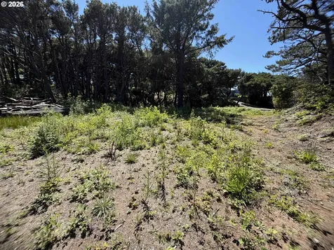 SW La Barre Drive Waldport OR 97394