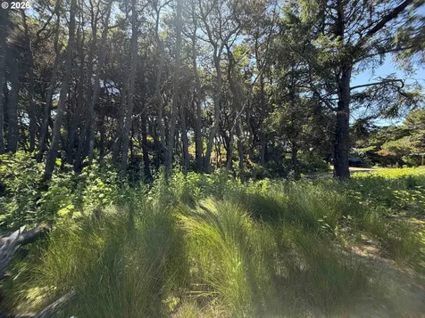 SW La Barre Drive Waldport OR 97394