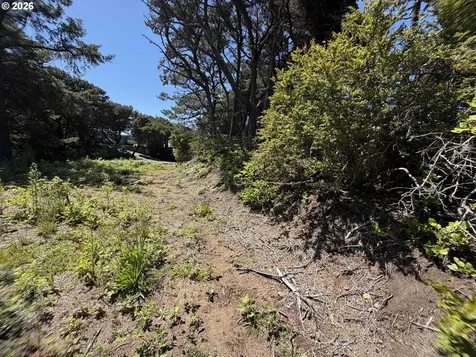 SW La Barre Drive Waldport OR 97394
