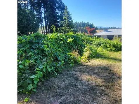36011 SE Tracy Road Estacada OR 97023