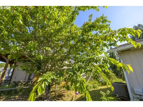 3303 E 11th Street Vancouver WA 98661