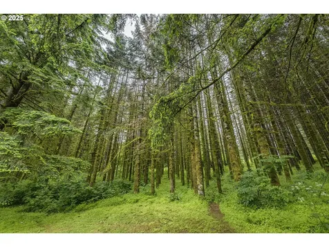 21445 NE Ornduff Road Hillsboro OR 97123