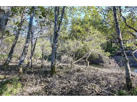 29908 H Street Ocean Park WA 98640