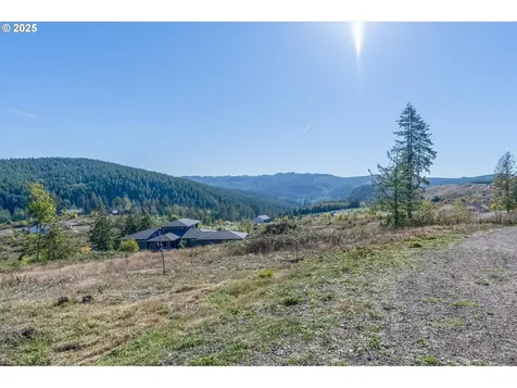 109 Stewart Spur 1 Kelso WA 98626