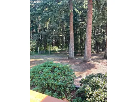 22813 NE 28th Street Camas WA 98607