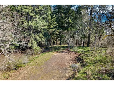 735 NW Strawberry Mountain Road White Salmon WA 98672