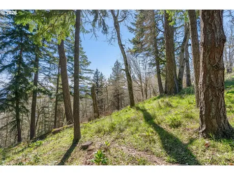 735 NW Strawberry Mountain Road White Salmon WA 98672