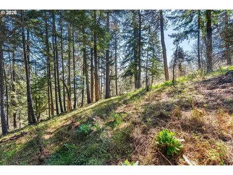 735 NW Strawberry Mountain Road White Salmon WA 98672
