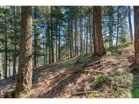 735 NW Strawberry Mountain Road White Salmon WA 98672