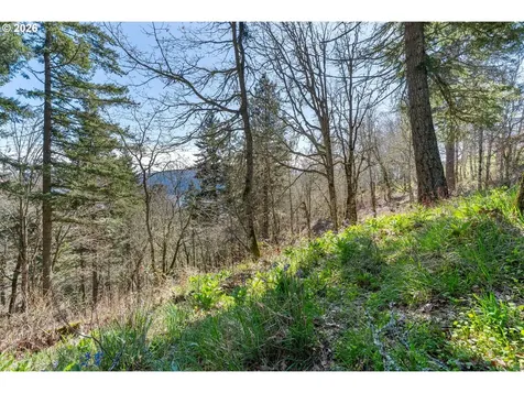 735 NW Strawberry Mountain Road White Salmon WA 98672