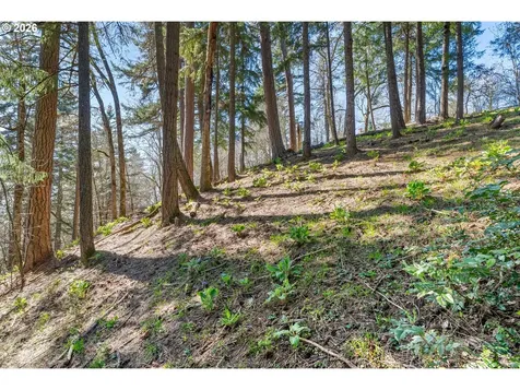 735 NW Strawberry Mountain Road White Salmon WA 98672