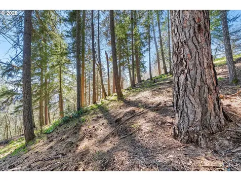 735 NW Strawberry Mountain Road White Salmon WA 98672