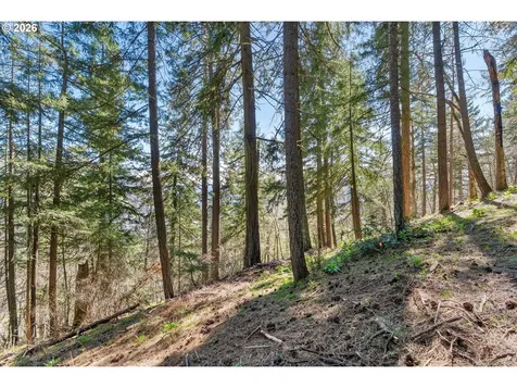 735 NW Strawberry Mountain Road White Salmon WA 98672