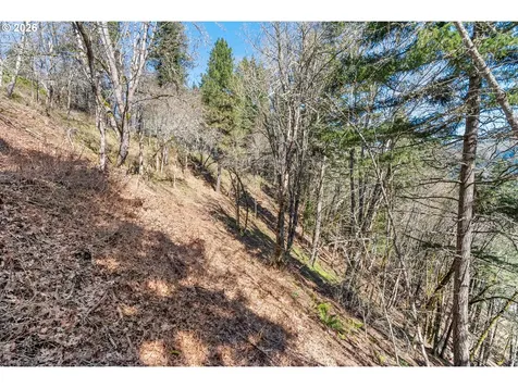 735 NW Strawberry Mountain Road White Salmon WA 98672