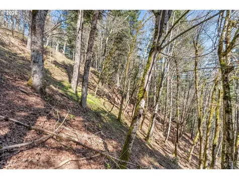 735 NW Strawberry Mountain Road White Salmon WA 98672