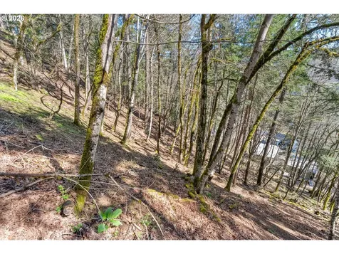 735 NW Strawberry Mountain Road White Salmon WA 98672