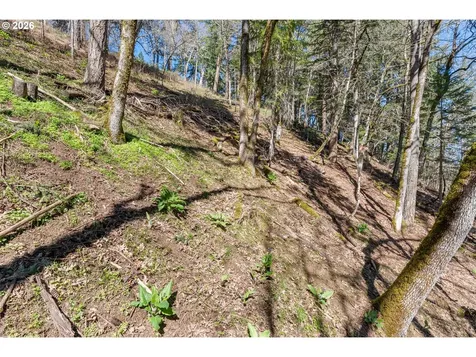 735 NW Strawberry Mountain Road White Salmon WA 98672