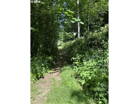 1 E Brightwood Loop Road Brightwood OR 97011