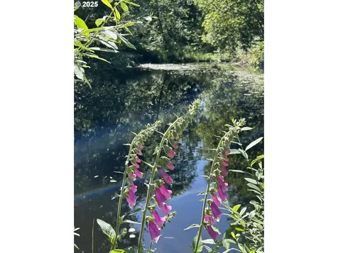 1 E Brightwood Loop Road Brightwood OR 97011