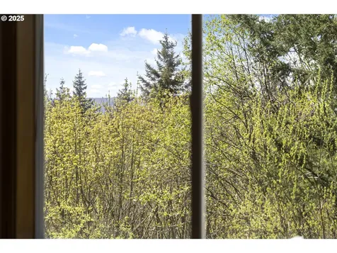130 Panorama Road Woodland WA 98674
