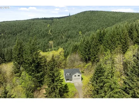 130 Panorama Road Woodland WA 98674