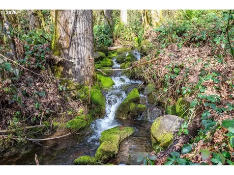 547 Lone Oak Road Longview WA 98632