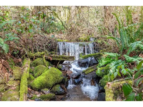 547 Lone Oak Road Longview WA 98632