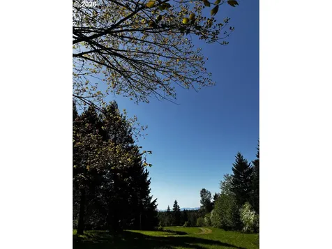 38520 Highway 226 Scio OR 97374