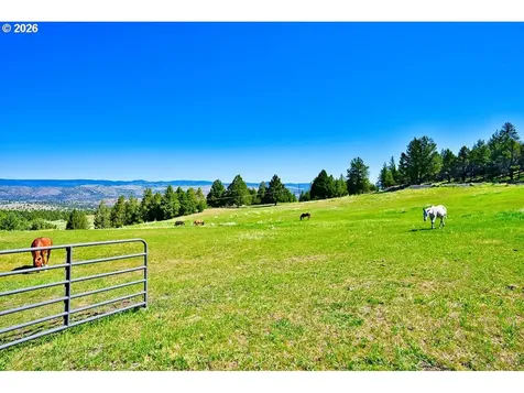 26008 Adam Road Canyon City OR 97820