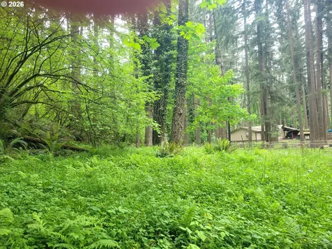 28616 SE Island Road Eagle Creek OR 97022