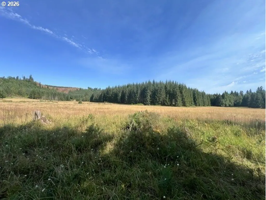 Timber Road Vernonia OR 97064