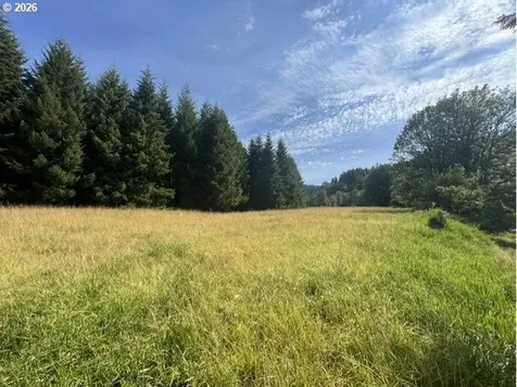 Timber Road Vernonia OR 97064