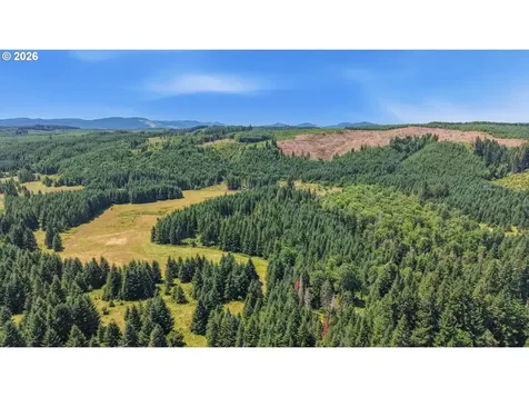 Timber Road Vernonia OR 97064