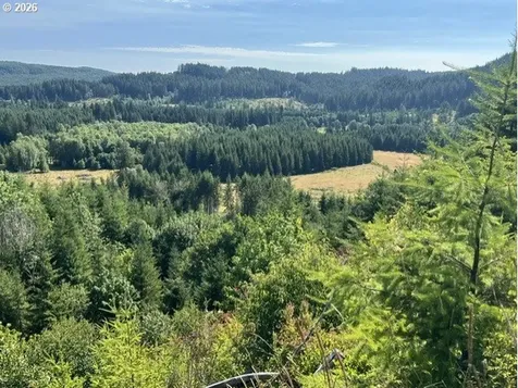 Timber Road Vernonia OR 97064