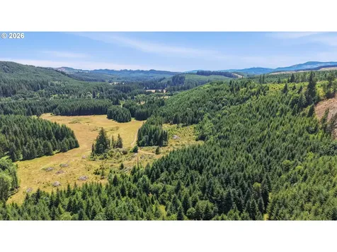 Timber Road Vernonia OR 97064
