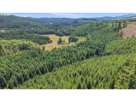 Timber Road Vernonia OR 97064