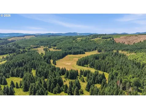 Timber Road Vernonia OR 97064