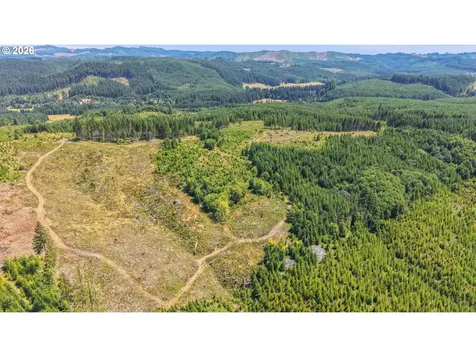 Timber Road Vernonia OR 97064