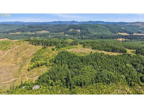 Timber Road Vernonia OR 97064