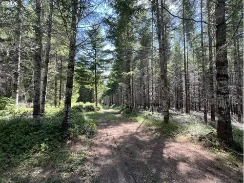 Timber Road Vernonia OR 97064