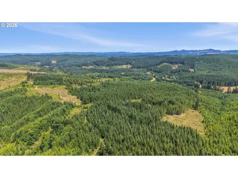 Timber Road Vernonia OR 97064