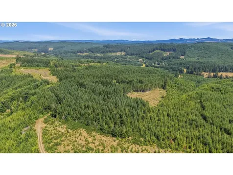 Timber Road Vernonia OR 97064