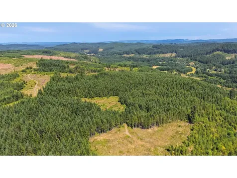 Timber Road Vernonia OR 97064