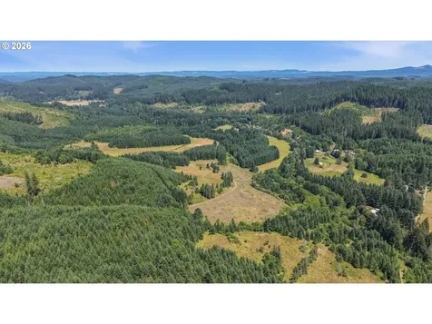 Timber Road Vernonia OR 97064