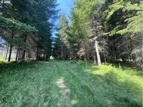 Timber Road Vernonia OR 97064