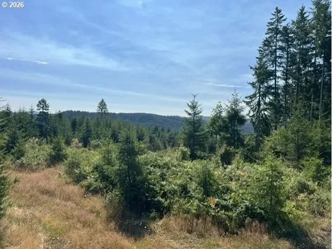 Timber Road Vernonia OR 97064